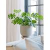 Pot Ridged Horizontal Cody L Cement 42x37 cm ronde bloempot